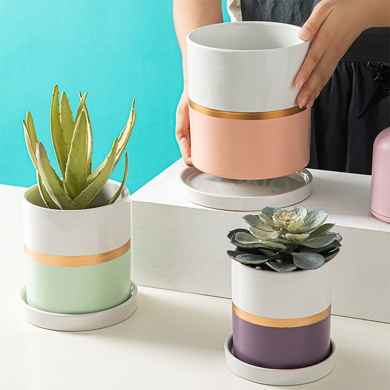 陶瓷花盆2021新款虎皮兰绿萝多肉带托盘室内桌面创意个性盆栽盆器