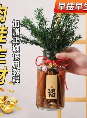 肉桂生财瓶摆件招财聚玻璃瓶花瓶diy材料客财厅位乔迁新居搬家用
