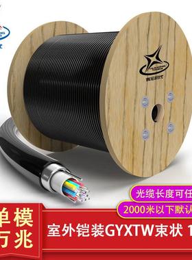 室外单模万兆铠装光缆电信级GYXTW4/6/8/12芯中心束管式光纤阻燃