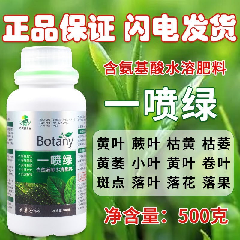 新黄叶一喷绿植物叶绿素花卉营养液含氨基酸叶面肥柑橘果树蔬菜通