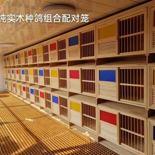信鸽实木组合巢箱 种鸽繁殖笼鸽子孵化窝 防潮耐用可拆卸养殖专用