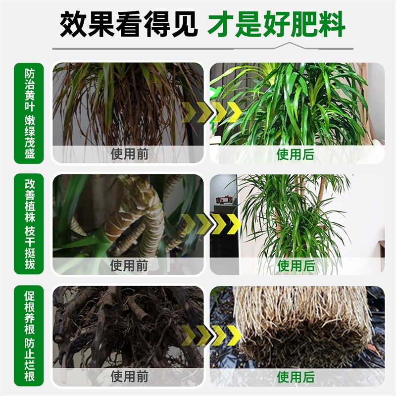龙血树专用营养液植物肥料花肥生根液龙须树通用复合黄叶干尖烂根