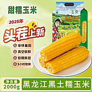 10支！辰旭稼禾东北黄糯玉米黑土地苞米