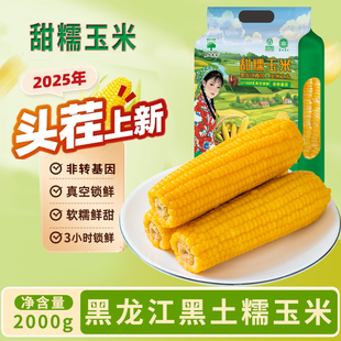 辰旭稼禾东北黄糯玉米黑土地苞米真空锁鲜嫩苞谷软糯香甜黑龙江