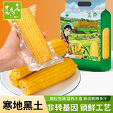 辰旭稼禾！东北黄糯玉米250g*8支券后17.9元包邮