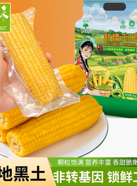 辰旭稼禾今年东北新玉米真空锁鲜黄糯玉米大粒黑土地苞米软糯香甜