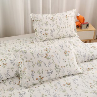 新款小清新a类全棉四件套裸睡1.8米床被套床单斜纹加密印花床品