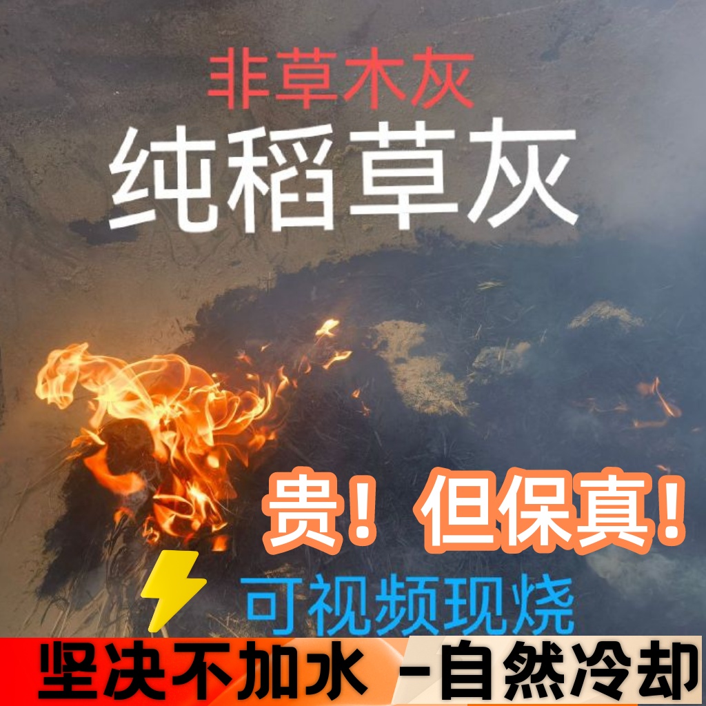 天然纯稻草灰水稻秸秆苗现烧现卖非草木灰不纯不要钱支持检验检测