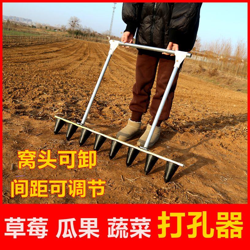 草莓种植打窝神器栽苗器种植蔬菜移苗移栽器农用定植工具打孔打洞