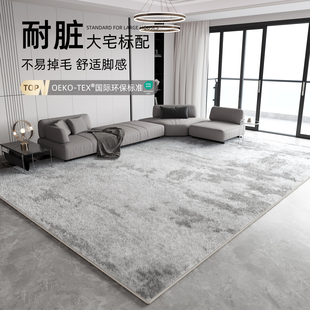 轻奢高级免打理沙发H地垫卧室家用极简大面积防 客厅地毯2024新款