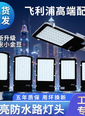led路灯头户外灯道路照明庭院220V户外防水50w100w150w挑臂路灯