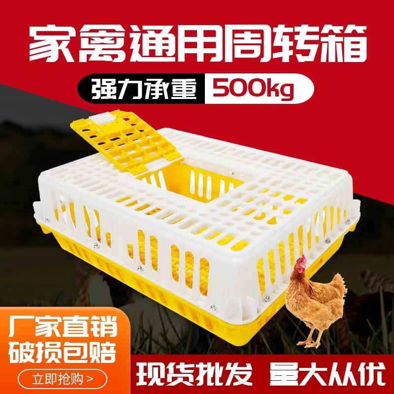 塑料鸡笼塑料运输笼鸭笼鹅笼鸡筐装鸡胶笼鸡笼周转箱成鸡箱鸡笼子