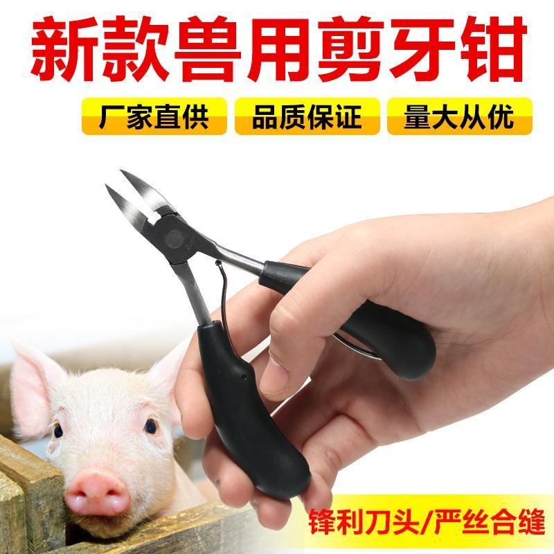 小猪剪牙钳兔不锈钢猪用剪牙钳子兽用仔猪剪齿钳猪场养猪宠物用品