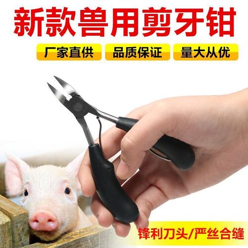 钳