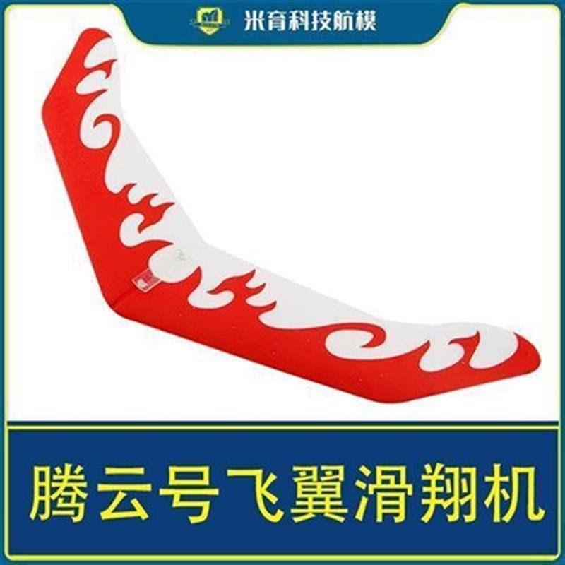 手掷飞机腾云号飞翼滑翔机学生儿童户外飞行DIY制作动手拼装玩具图片