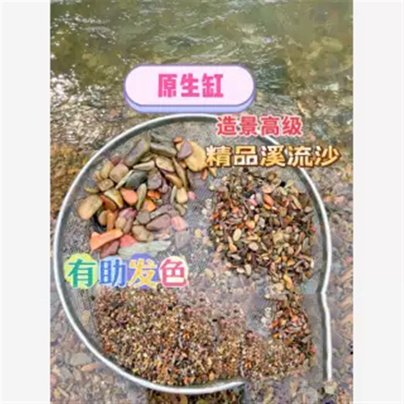 原生鱼缸底砂造景沙溪流砂溪流石沙子雷龙龟缸天然河沙石美大肌砂