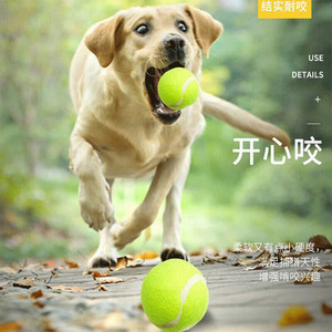狗狗玩具弹力网球大中小型犬耐咬