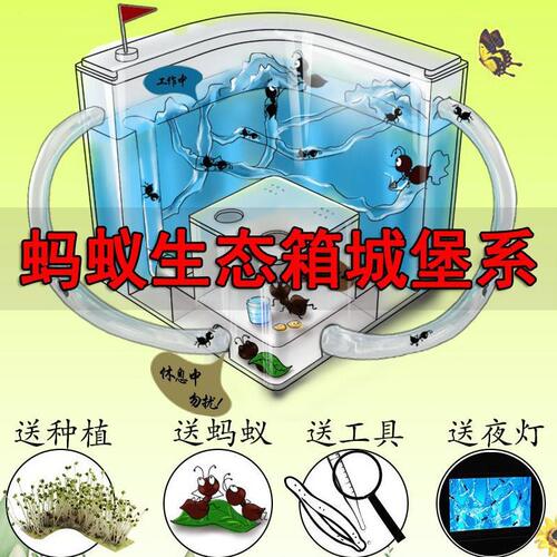 甄选蚂蚁生态箱城堡系列套餐工坊蚁巢屋箱盒送蚁后繁殖蚂蚁部王国