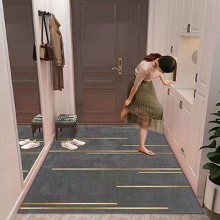 入户门地垫家用进门门口门垫脚垫轻奢客厅卧室茶几地毯防滑可裁剪