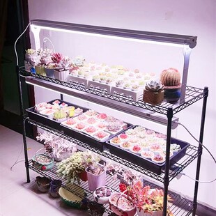 正阳多肉补光灯全光谱上色白光大功率室内育苗防徒仿太阳生长