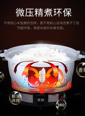 富琛斯15升富琛斯气煤饭煲80燃人份超大液容量气饭锅化气天然气煮