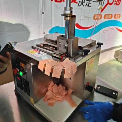 火锅店鲜肉切片机用功能牛羊肉切片机大腰片板多刀筋商刨FEB片机