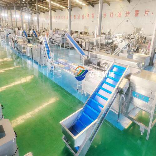 成品预制菜加水线全FMA自动净菜生流产线涡流清洗机半厂工家净菜