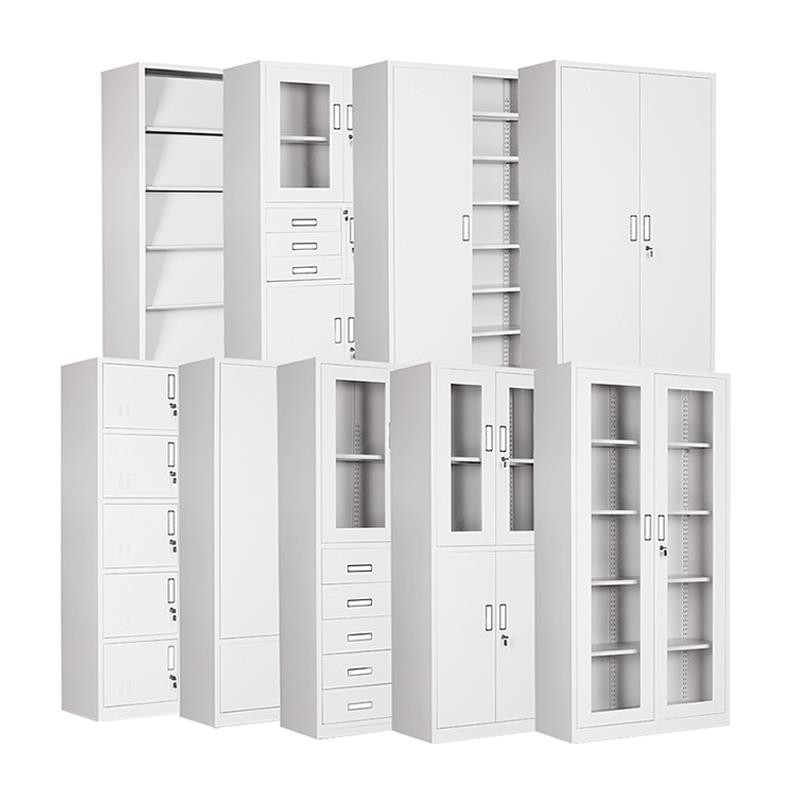 郑州办公文件柜家用书柜带锁铁皮资料档案凭证柜储物柜员工更衣柜