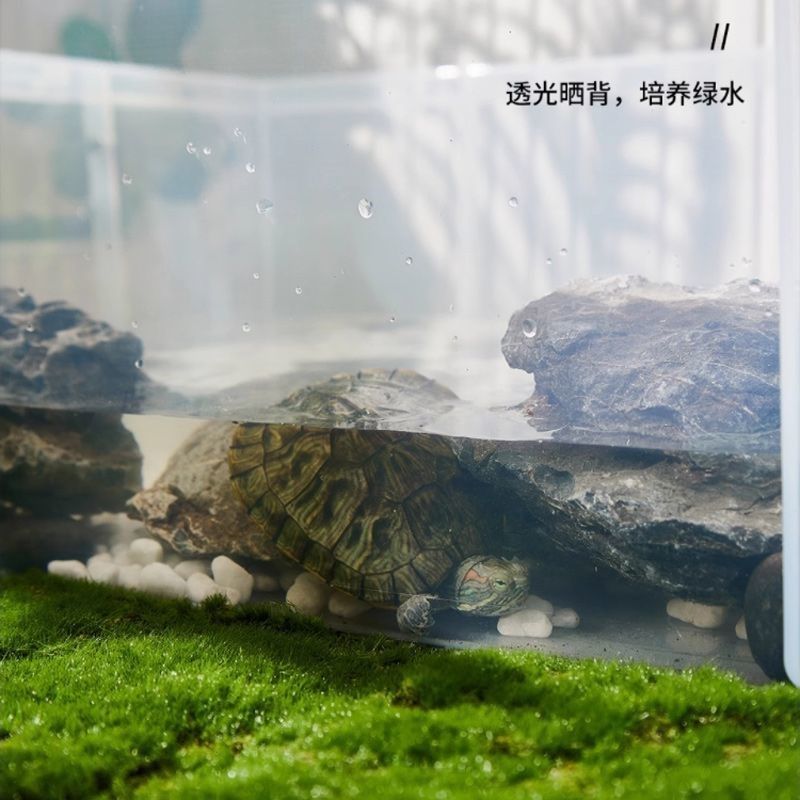 乌龟缸带排水特大带盖生态造景塑料晒台透明周转收纳箱乌龟饲养缸,宠物/宠物食品及用品,龟缸,淘宝优惠券,粉丝福利购,淘宝优惠卷