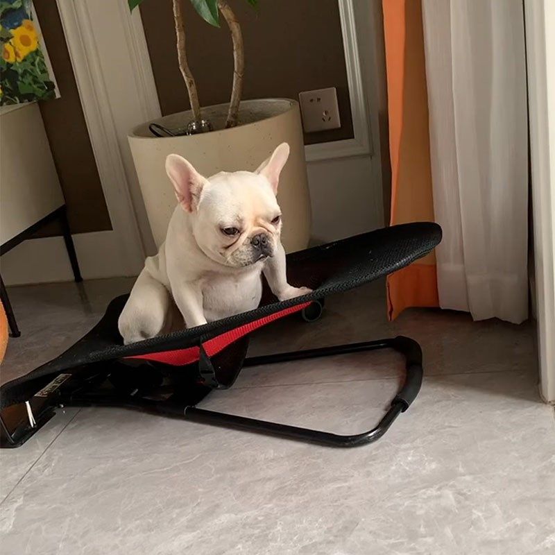 夏季狗窝四季通用中小型犬法斗狗床沙发躺椅摇摇椅行军床宠物用品,宠物/宠物食品及用品,猫狗床/躺椅,淘宝优惠券,粉丝福利购,淘宝优惠卷