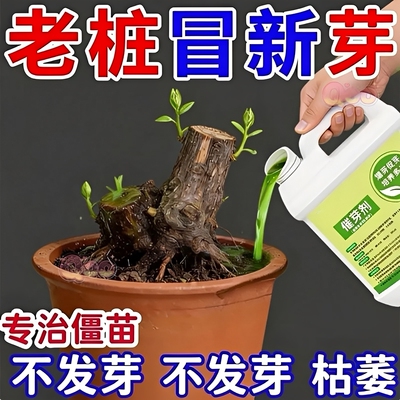 老桩催芽剂花卉营养液促芽僵苗快速发新芽防黄叶生根催芽绿植通用