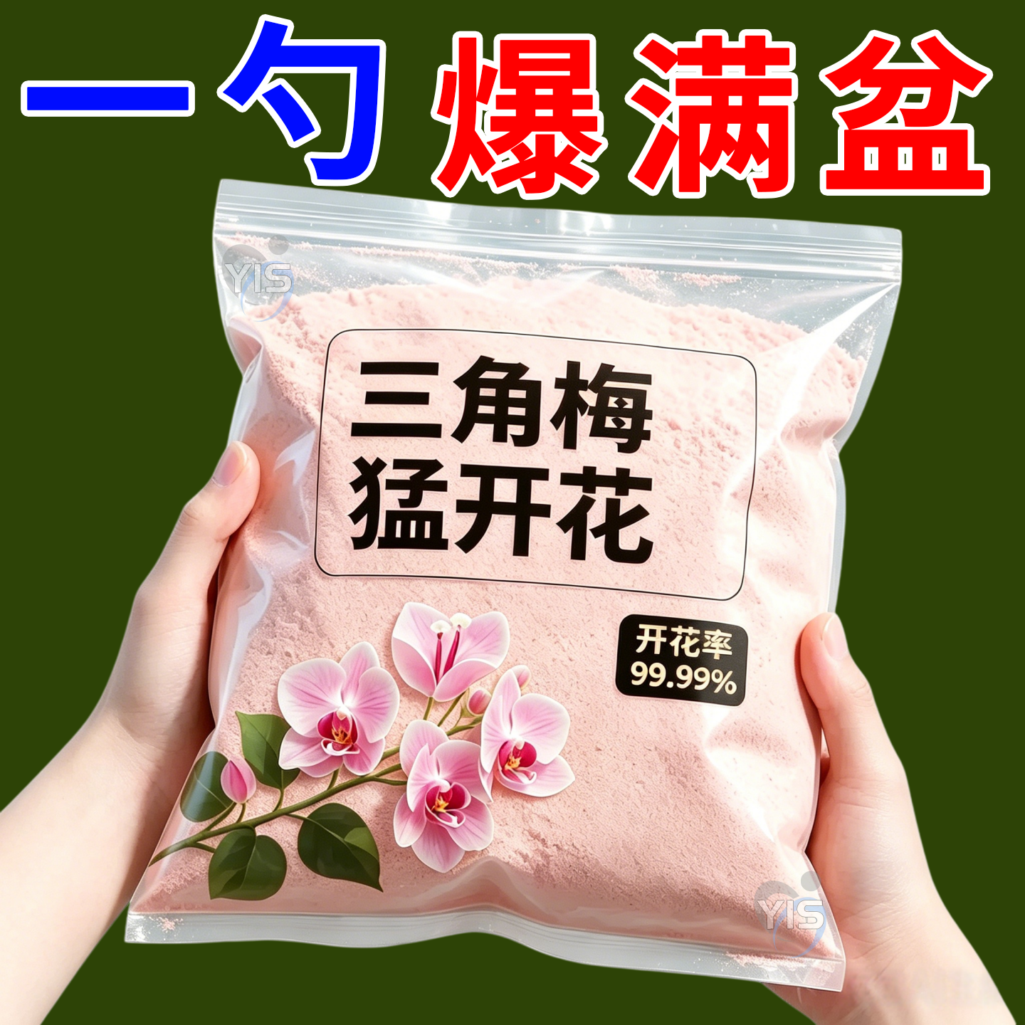 三角梅兰花快速爆花盆栽水溶肥