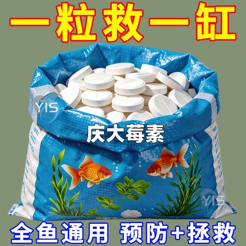 庆大霉素片鱼缸养鱼治烂身白点