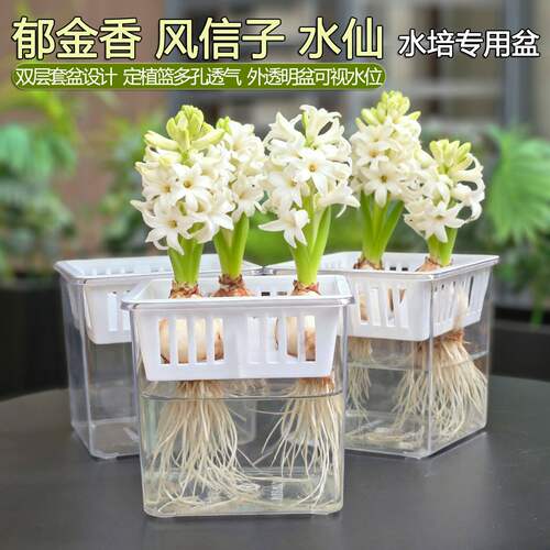透明水培器皿简约百搭颜值超高