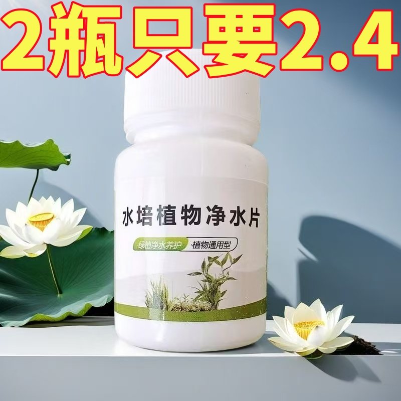 水培植物专用净水片富贵竹碗莲净水保鲜花卉保鲜剂鲜花保鲜消毒片,鲜花速递/花卉仿真/绿植园艺,家庭园艺肥料,淘宝优惠券,粉丝福利购,淘宝优惠卷