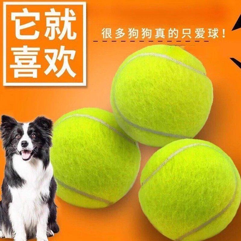 宠物玩具网球狗狗磨牙回弹弹力球户外训练球互动玩具小狗解闷神器
