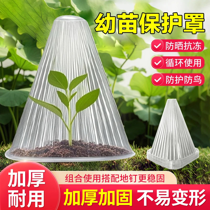 育苗保护罩保温防虫护苗更安全