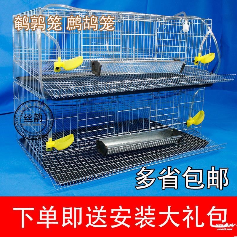 新品鹑自动养殖笼芦加粗自动滚蛋蛋家用产蛋带托盘繁殖笼鹌产蛋丁