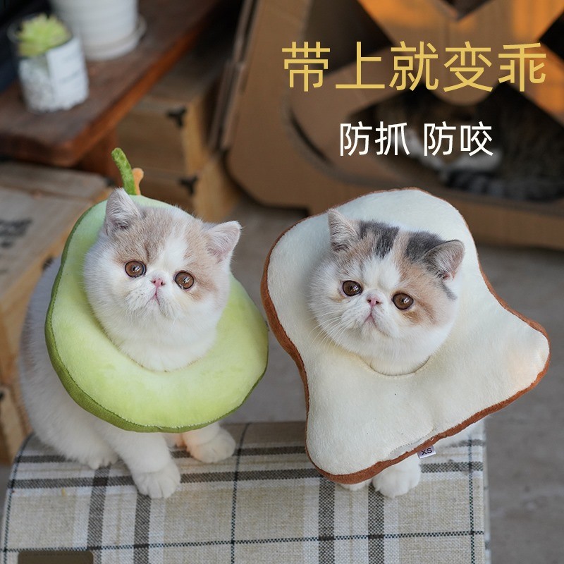 耻辱圈 猫头套头罩猫狗可爱幼猫保护宠物猫伊莉莎白防护夏天幼犬