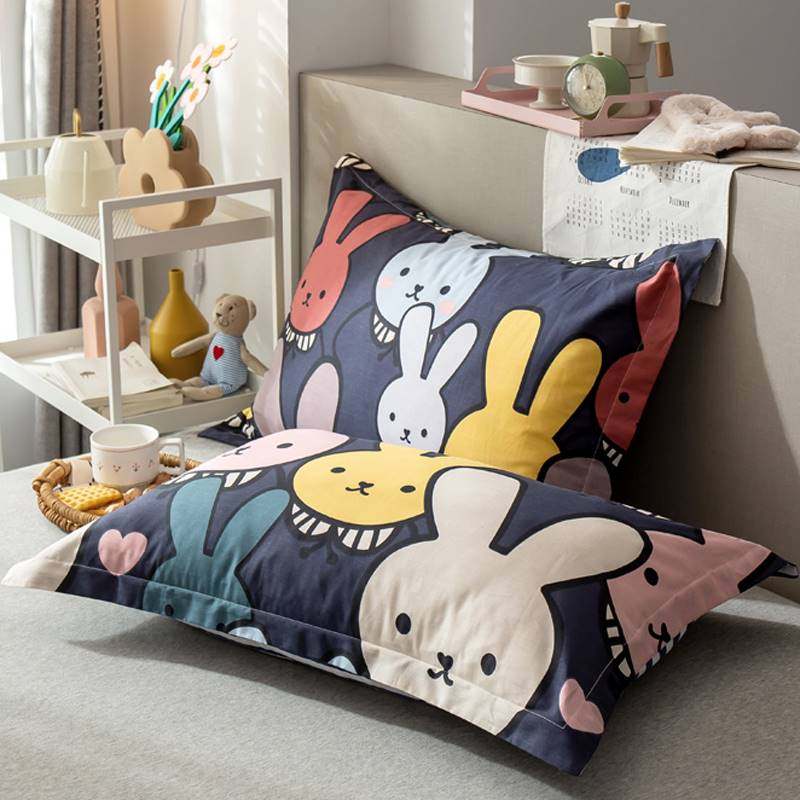 卡通枕套纯棉一对装可爱儿童单个枕头套100全棉大号男枕芯内胆套