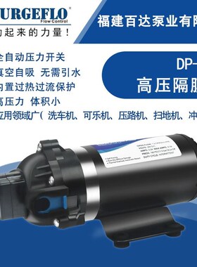 DP-160高压隔膜水泵12V24V110V220IV直流交流压路机净水器洗车喷