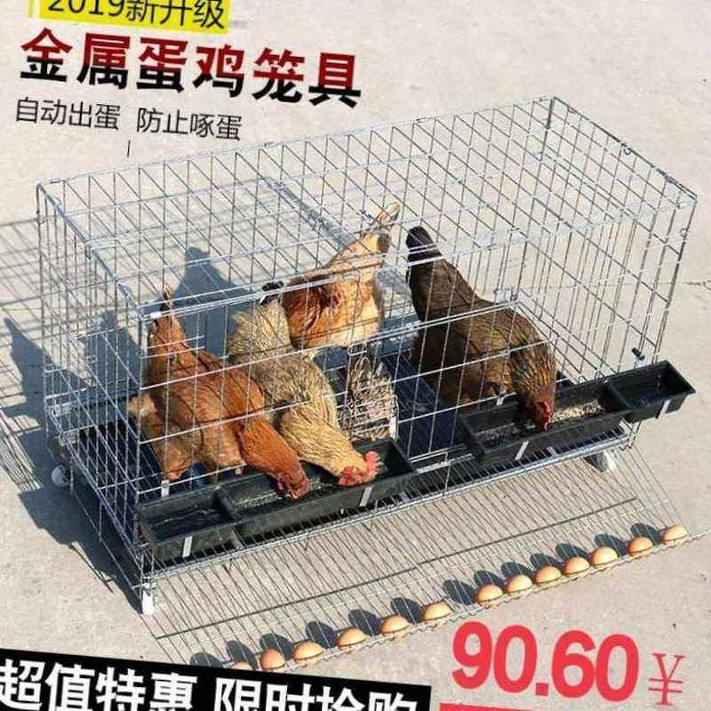 新款鸡自动笼养殖笼加粗养特铁舍鸡丝子大号家用折叠滚蛋鸡笼通用