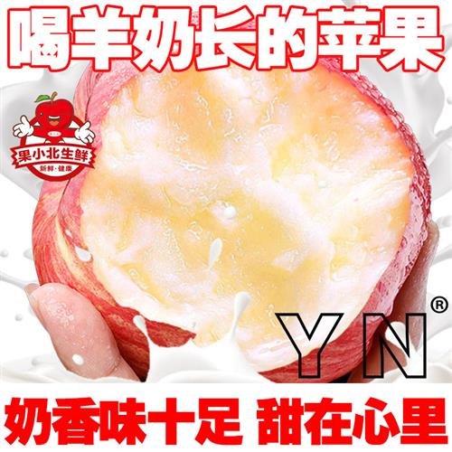 果小北羊奶苹果应季新鲜孕妇水果山西红富士脆甜多汁整箱产地直发