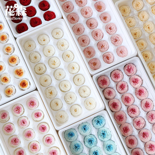 永生花奥斯汀玫瑰2-3cm保鲜花手工装饰diy材料包干花节日礼品女友