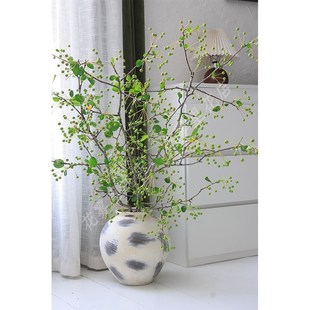 真的新鲜果子棠梨果鲜切枝海棠果子观赏材家用水养插期长