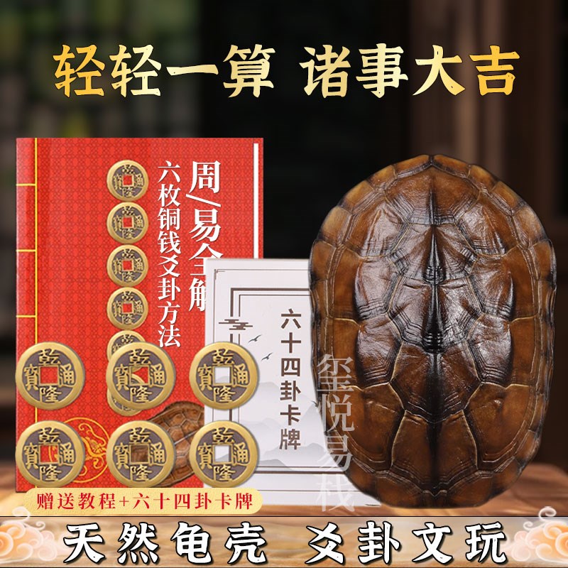易经爻六铜钱工具卦卜铜钱龟壳真龟甲六爻铜钱摇卦64卦牌算挂用品