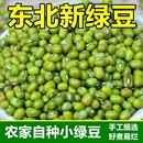 东北新绿豆五谷杂粮精品小绿豆发芽新鲜农家可发芽颗粒饱满绿豆粥
