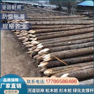 杉木打桩杆沙柳支撑杆杉木桩河道驳岸园林绿化树木支撑杆原木