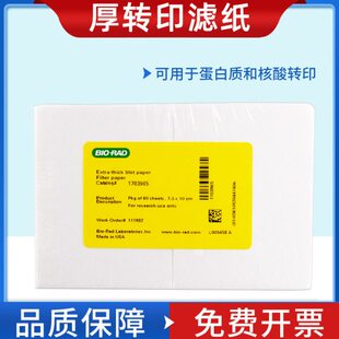 伯乐bio-rad电泳滤纸WB实验室湿转印转膜半干转印加厚1703932/170