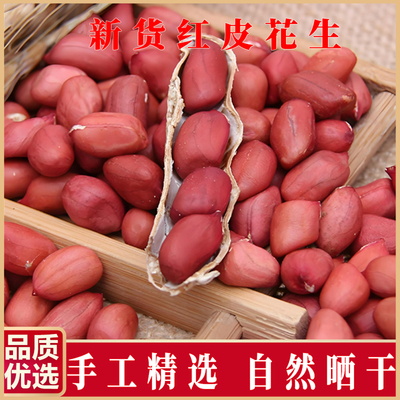 东北红皮花生米带壳500g正宗农家新鲜干货原味花生米带壳红衣花生